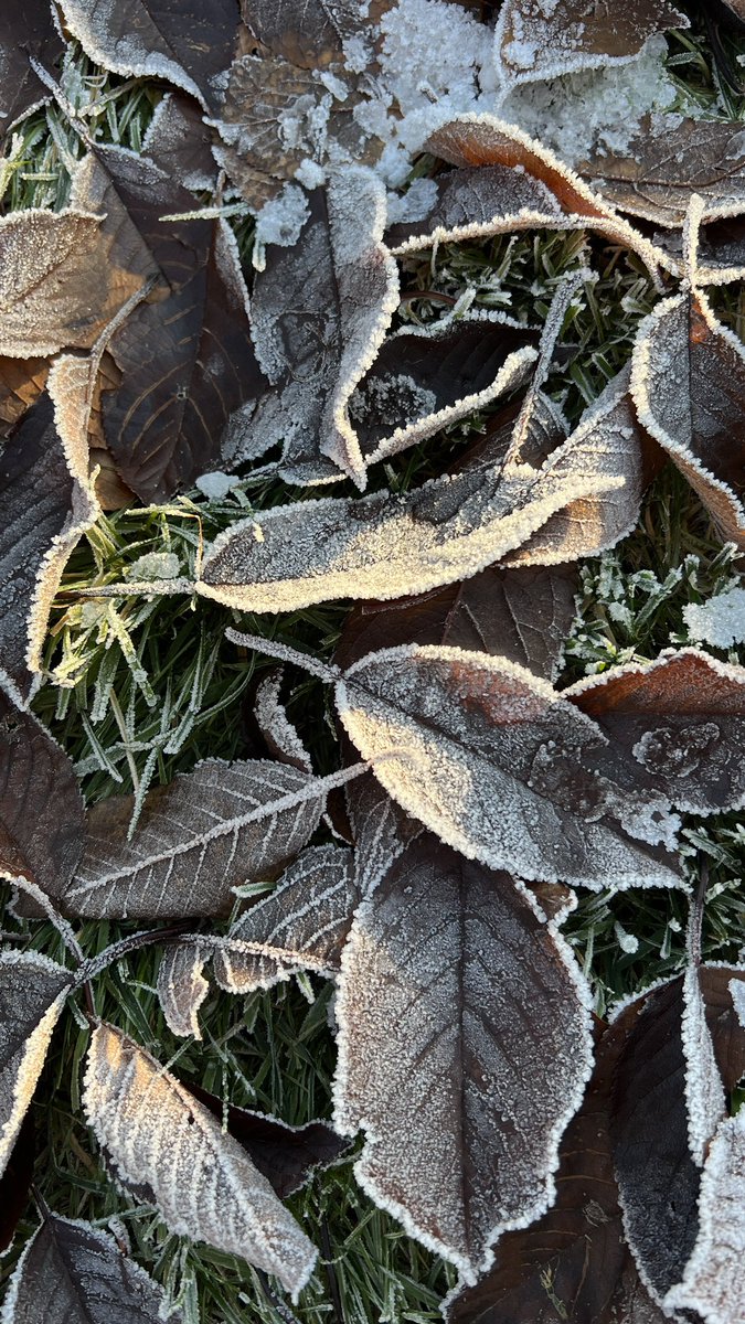 gdaduncan's tweet photo. so beautiful and frosty on our walk through the gardens this morning #ruraladventure #Worcestershire https://t.co/cdH0RUzpr3