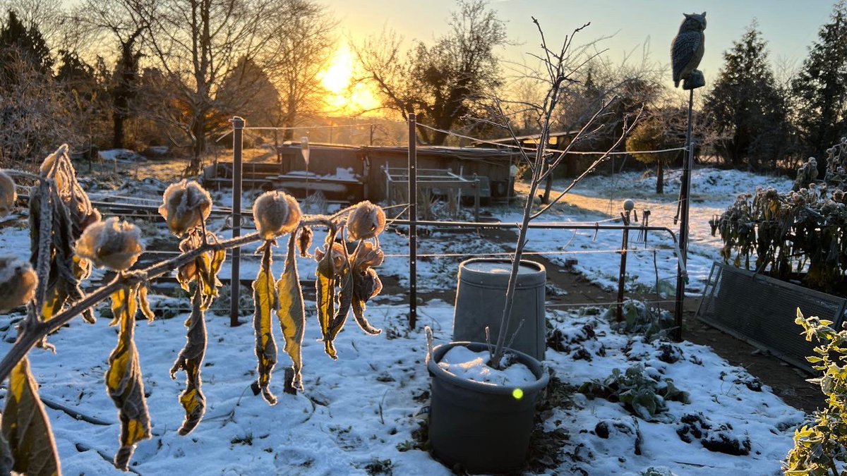 gdaduncan's tweet photo. so beautiful and frosty on our walk through the gardens this morning #ruraladventure #Worcestershire https://t.co/cdH0RUzpr3