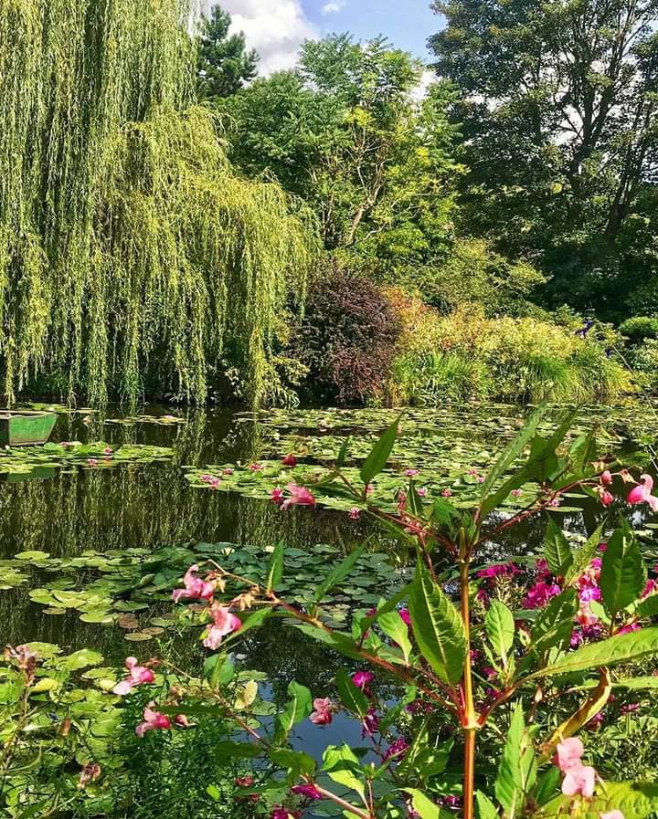 softdeIicacy's tweet photo. monet's garden https://t.co/jGbnrLsvJc
