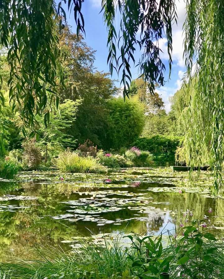 softdeIicacy's tweet photo. monet's garden https://t.co/jGbnrLsvJc