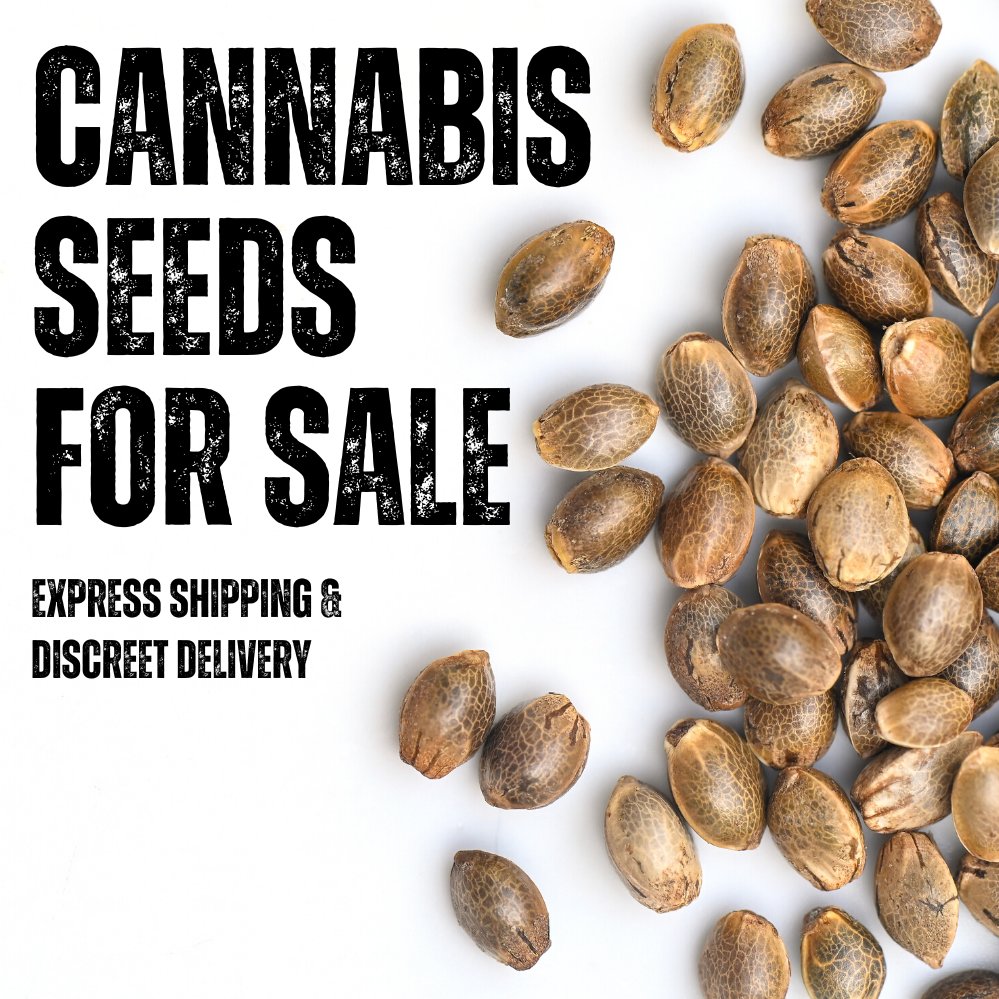 Burning Bush Nurseries - Marijuana Clones & Seeds tweet media
