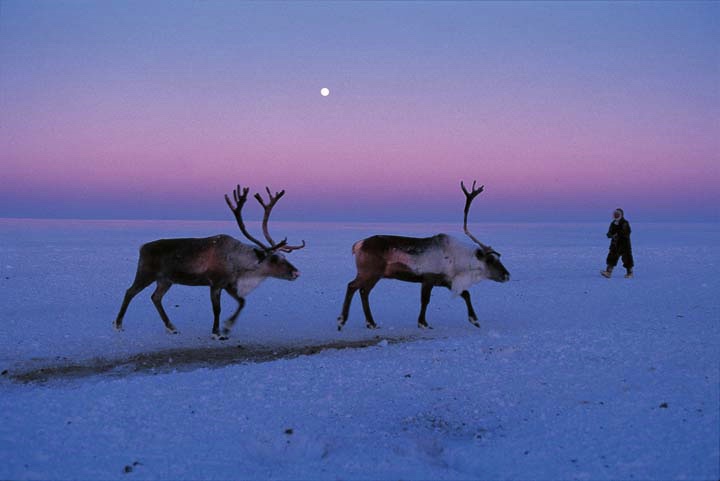 NORDECO_Int's tweet photo. Convention on Biological Diversity #COP15 Montréal Side-event: Promoting knowledge and rights of #Arctic #Indigenous Peoples through #CommunityBasedMonitoring  @FinnDanielsen &amp; Rodion Sulyandziga moderating
Sat Dec 17 15:00-17:00 Montreal / 21:00-23:00 CET
https://t.co/0gfRcj4WRT https://t.co/sDAKBGvY9L