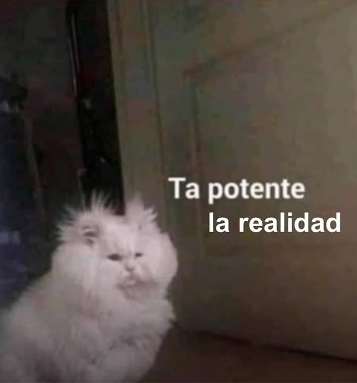 Nasty Poet (@nxstypxet) on Twitter photo 