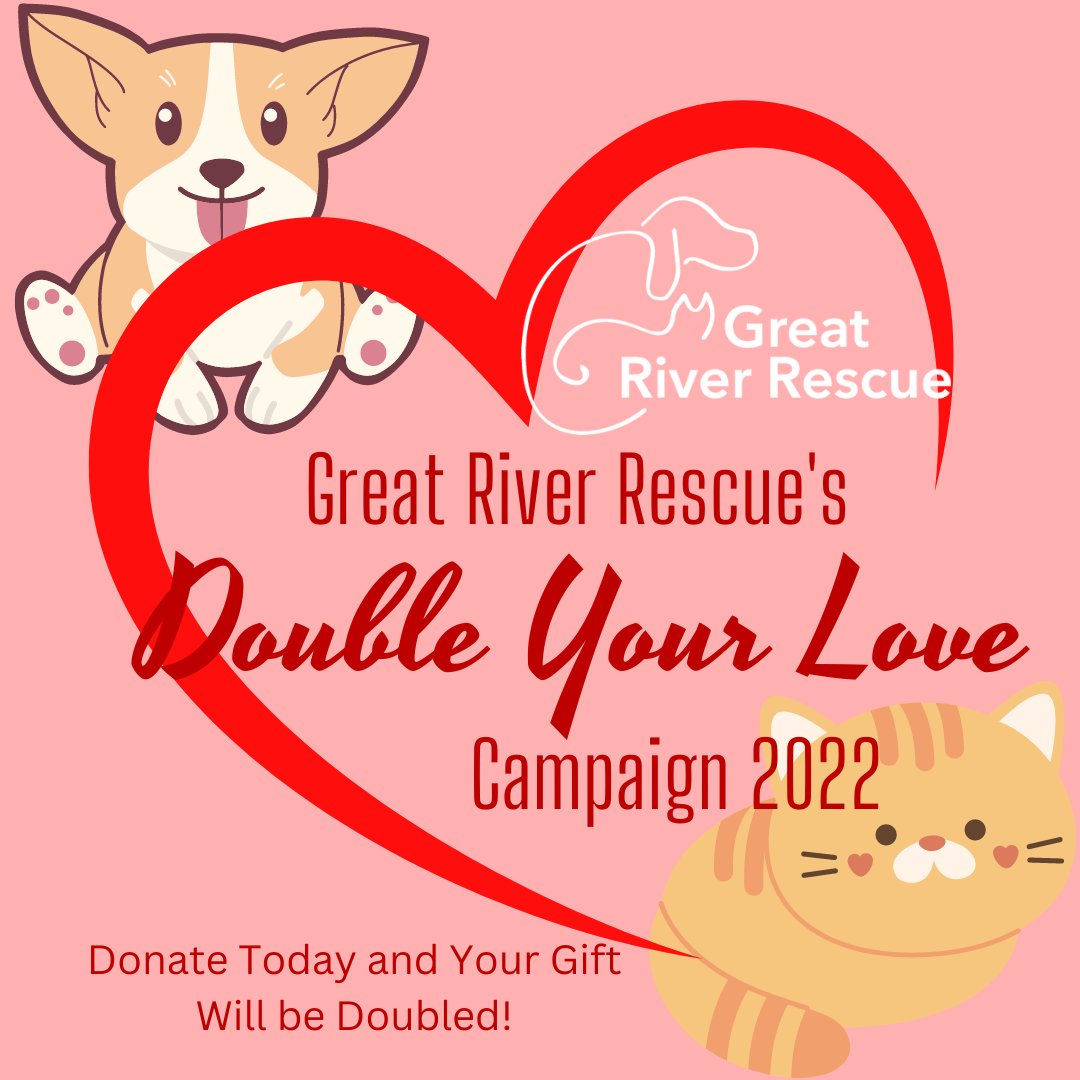 Great River Rescue tweet media