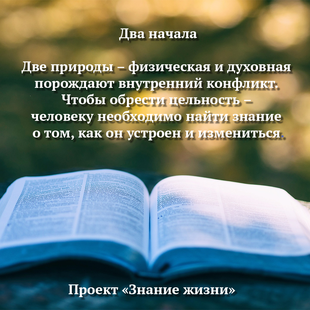 SergeyMitsevich's tweet image. 