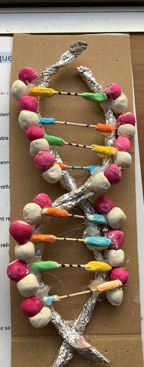 NLepouder's tweet photo. Une séance au top avec des élèves heureux de réviser la structure de l’ADN en faisant une modélisation avec les matériaux de leur choix ! 😊
#SVT #SLLPND #ADN #SVTdeCreteil https://t.co/ZzvbEoof3L