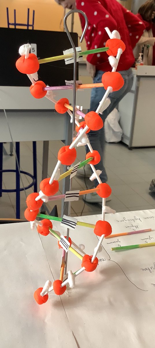 NLepouder's tweet photo. Une séance au top avec des élèves heureux de réviser la structure de l’ADN en faisant une modélisation avec les matériaux de leur choix ! 😊
#SVT #SLLPND #ADN #SVTdeCreteil https://t.co/ZzvbEoof3L