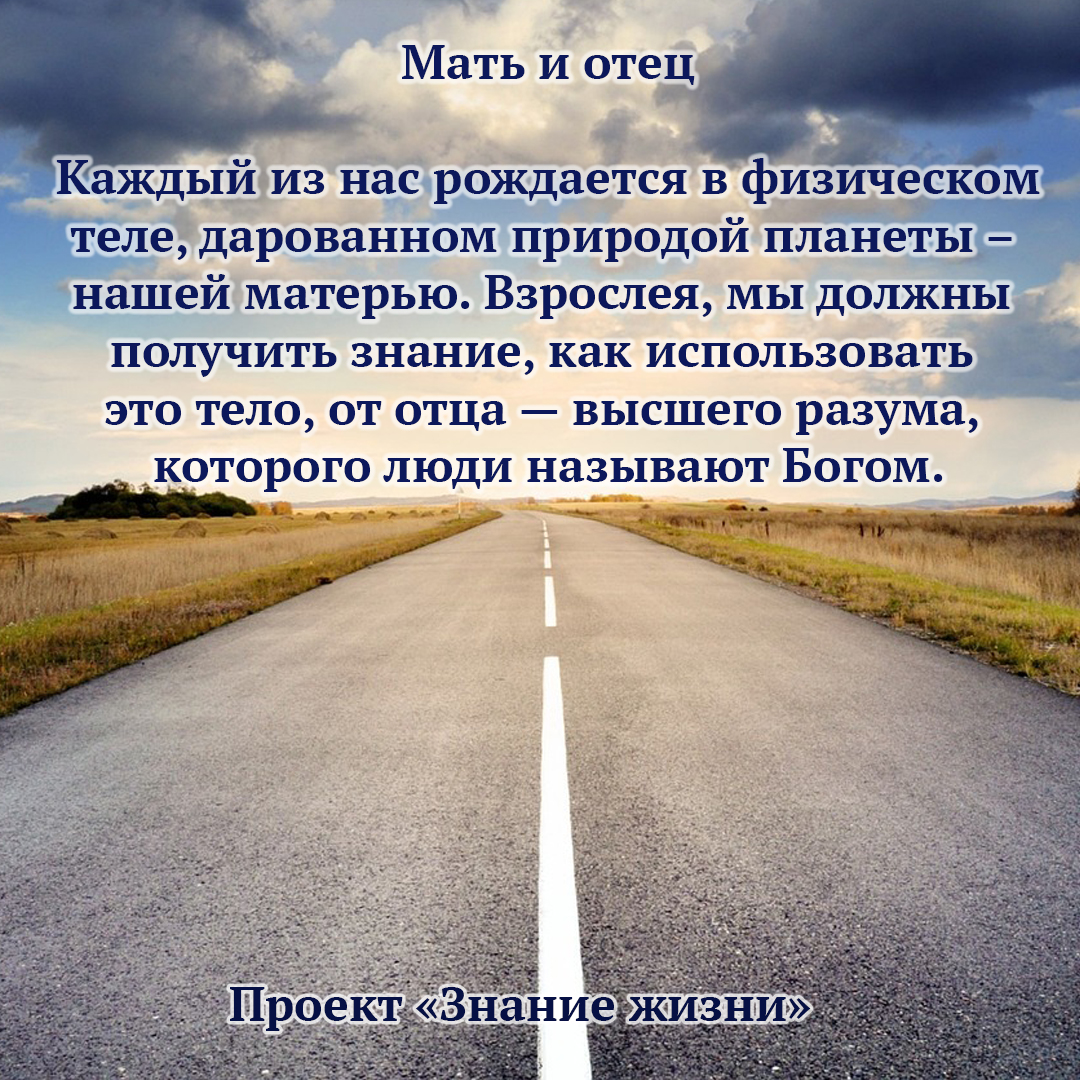 SergeyMitsevich's tweet image. 