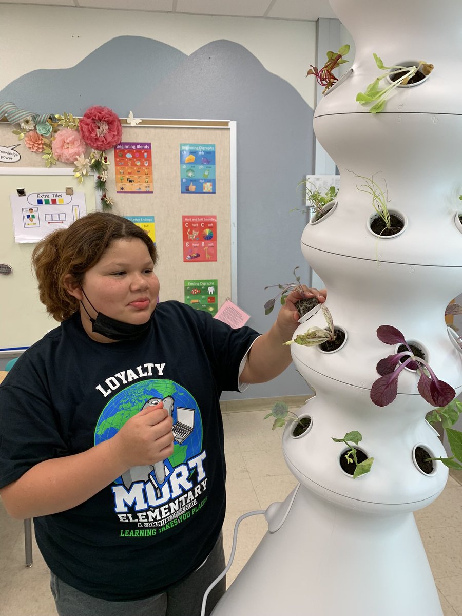 #GardenGnomies are so very thankful for our new <a href="/knowitorgrowit/">Lettuce Grow</a> tower donated by the local <a href="/Kiwanis/">Kiwanis</a> club member Suzuki Bredbenner. 🌱 🙏🏼 🍉 @MortElementary