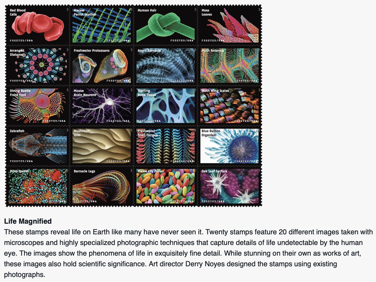 MasterMind_Inst's tweet photo. When @USPS loves science as much as you do!
https://t.co/daAMMwdMMX https://t.co/hvRBlUaIU1