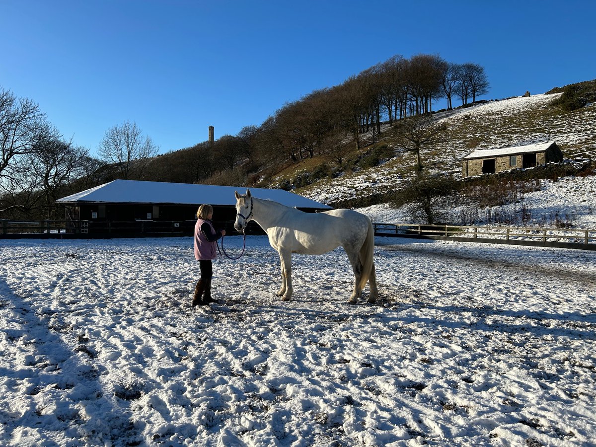 The Government's Community Ownership Fund award means that the Riding Centre is secure - to continue to empower those with learning disabilities, physical and mental health disabilities, and emotional and social challenges, to lead fulfilling lives through being with horses .