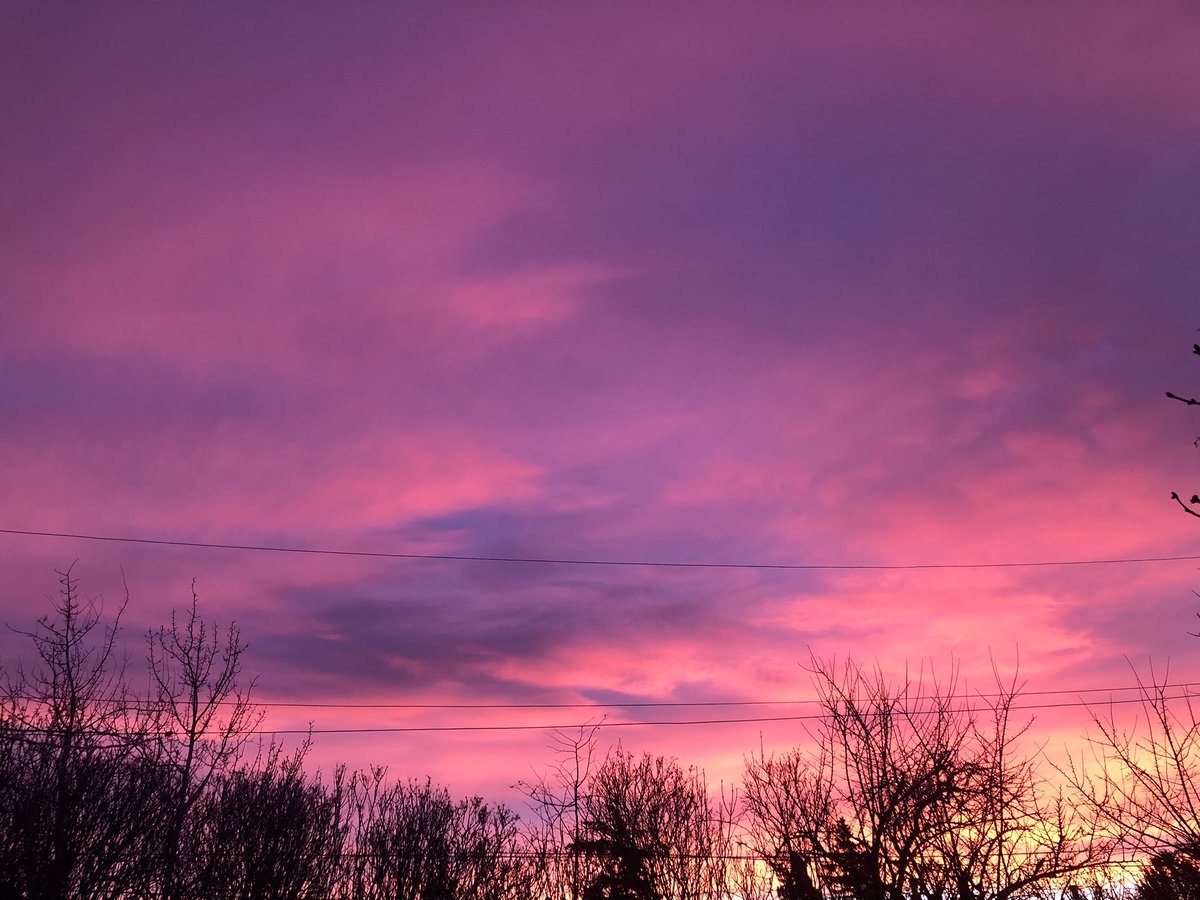 TonyCava's tweet photo. #SomethingBeautiful Bellingham Archive- Leafless eastern sky at sunrise. December 15, 2022. #Sunrise #Winter #Leafless #BellinghamWA #Stormhour #ThePhotoHour https://t.co/yKiXPuJwdm