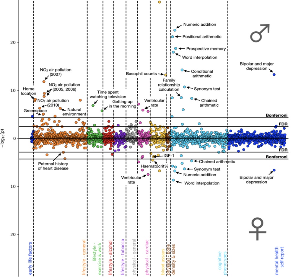 PLOSBiology's tweet photo. #AlzheimersDisease is marked by damage to the #hippocampus & #DefaultNetwork. Laurel Beckett explores a #PLOSBiology study showing sex differences in damage patterns & their association with risk & protective factors. Primer: https://t.co/NOCKyOWiJb Paper: https://t.co/YHF4bSUcSx https://t.co/CQFlomATNJ