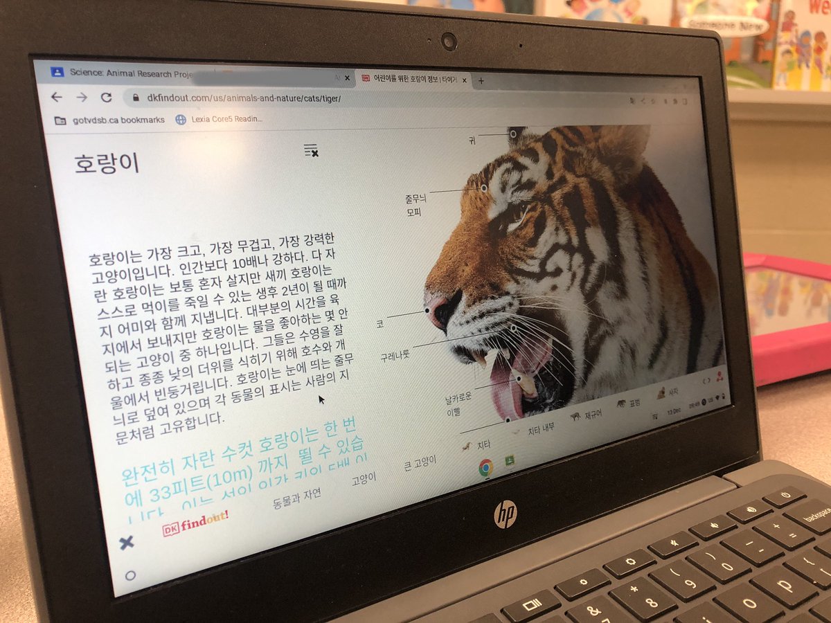 Ms. Gander tweet media