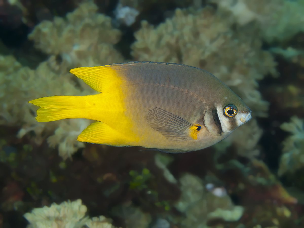 Jeremy Roberts tweet media