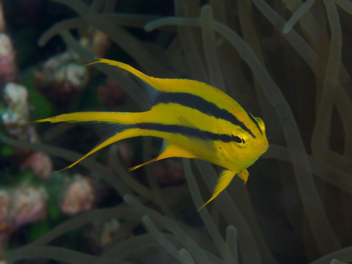 Jeremy Roberts tweet media