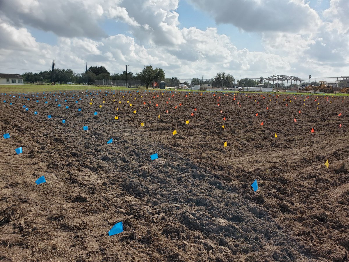 Gcell_garza's tweet photo. Grateful for the collaboration between @AmericanForests, @UTRGV, &amp; @HidalgoCounty Precinct 4 that resulted in the successful planting of a community thornforest in the heart of the #RGV. This forest will be used for environmental education &amp; serve as a refuge for wildlife. https://t.co/6dT1a7eZRa