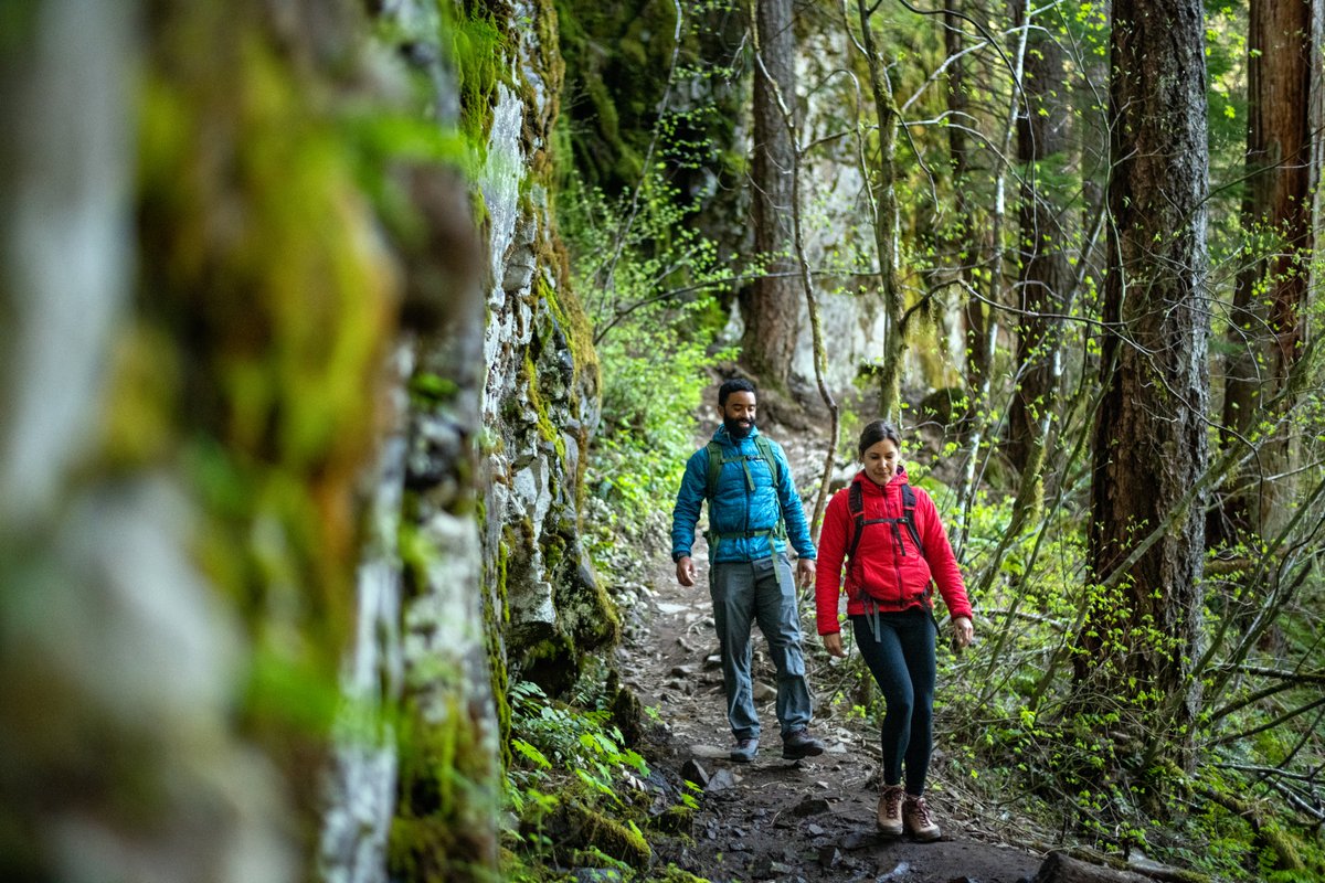 Vancouver_USA's tweet image. Hiking the scenic Columbia River Gorge is one of our favorite things to do! 🌲 Vancouver makes for a great base to spend the day exploring—and work in a post-adventure brew afterward. 🍻 #TrueToNature #VanWA
 
Find your next adventure here: ow.ly/2u8t50M4N1Z
