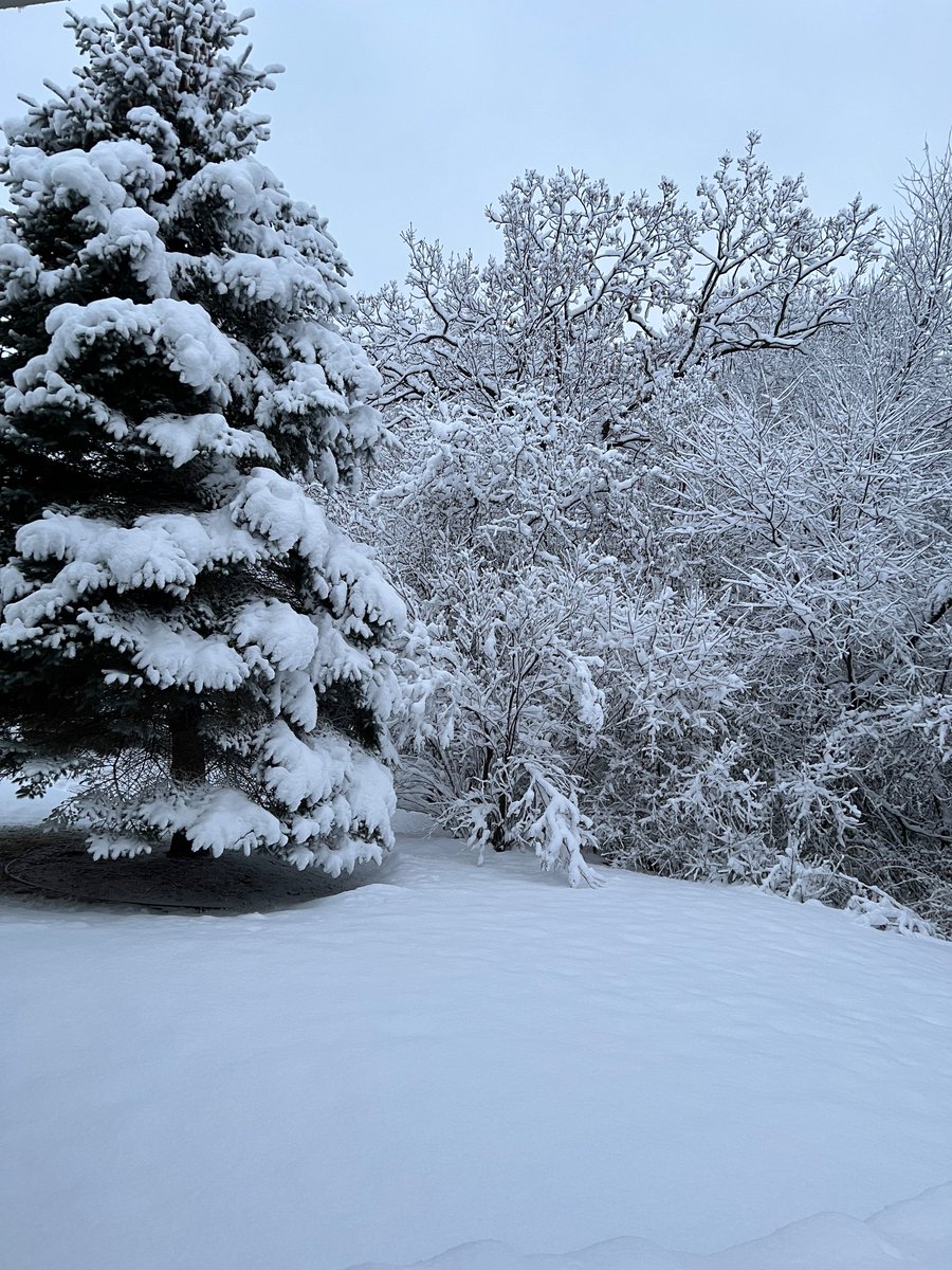 mshillaryjones's tweet photo. @WQOW https://t.co/Q7dOoIAiyn