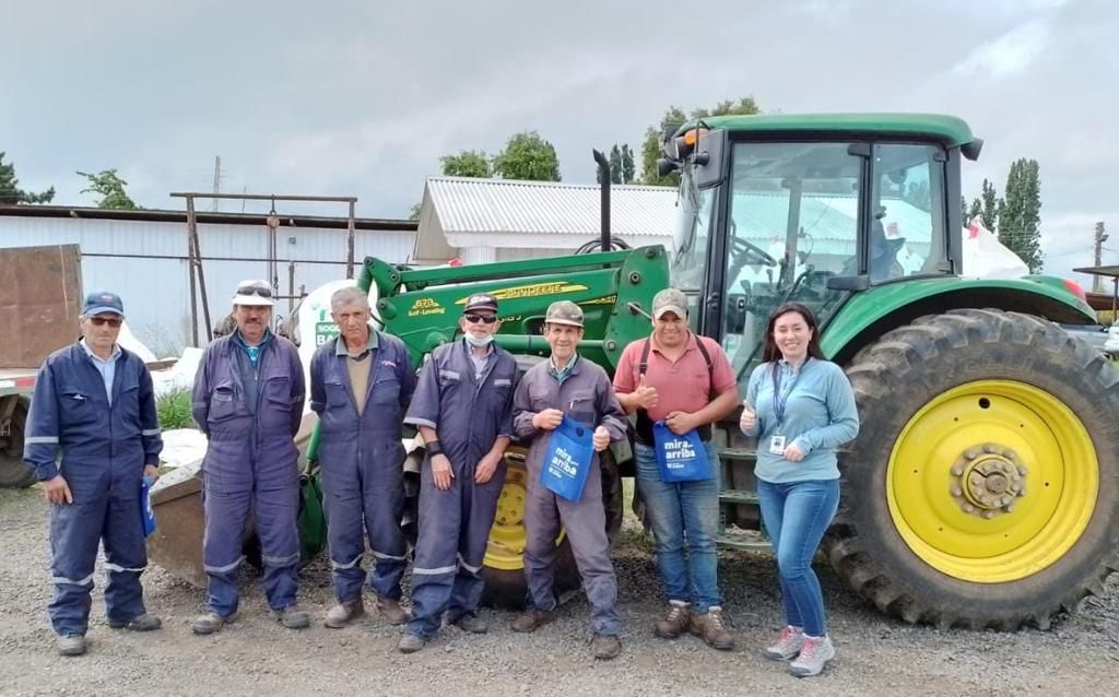 ProAraucania tweet media