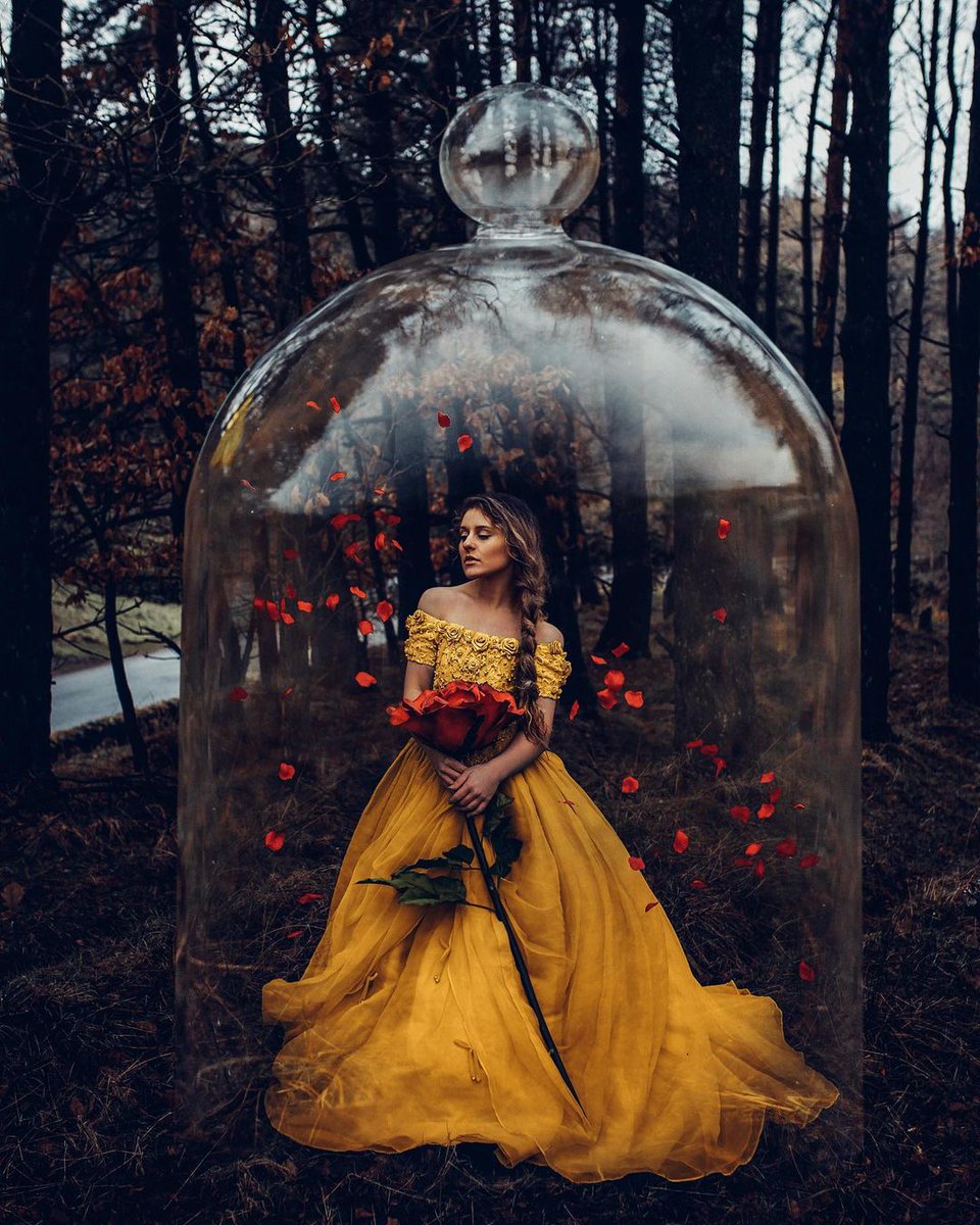 Tale as old as time 🥀
© Adam Bird
☞ <a href="/adambirdyy/">Adam Bird</a>