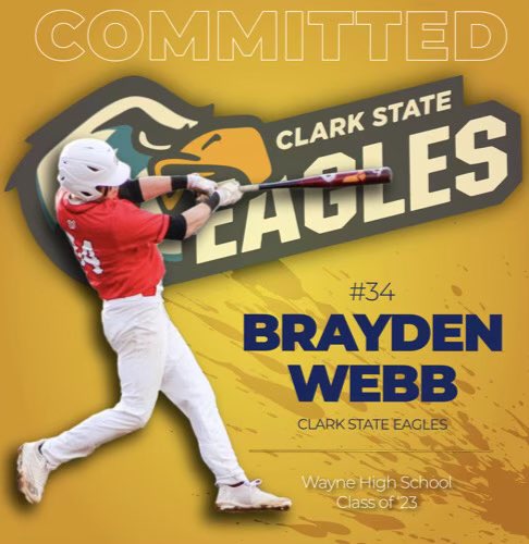 Brayden Webb tweet media