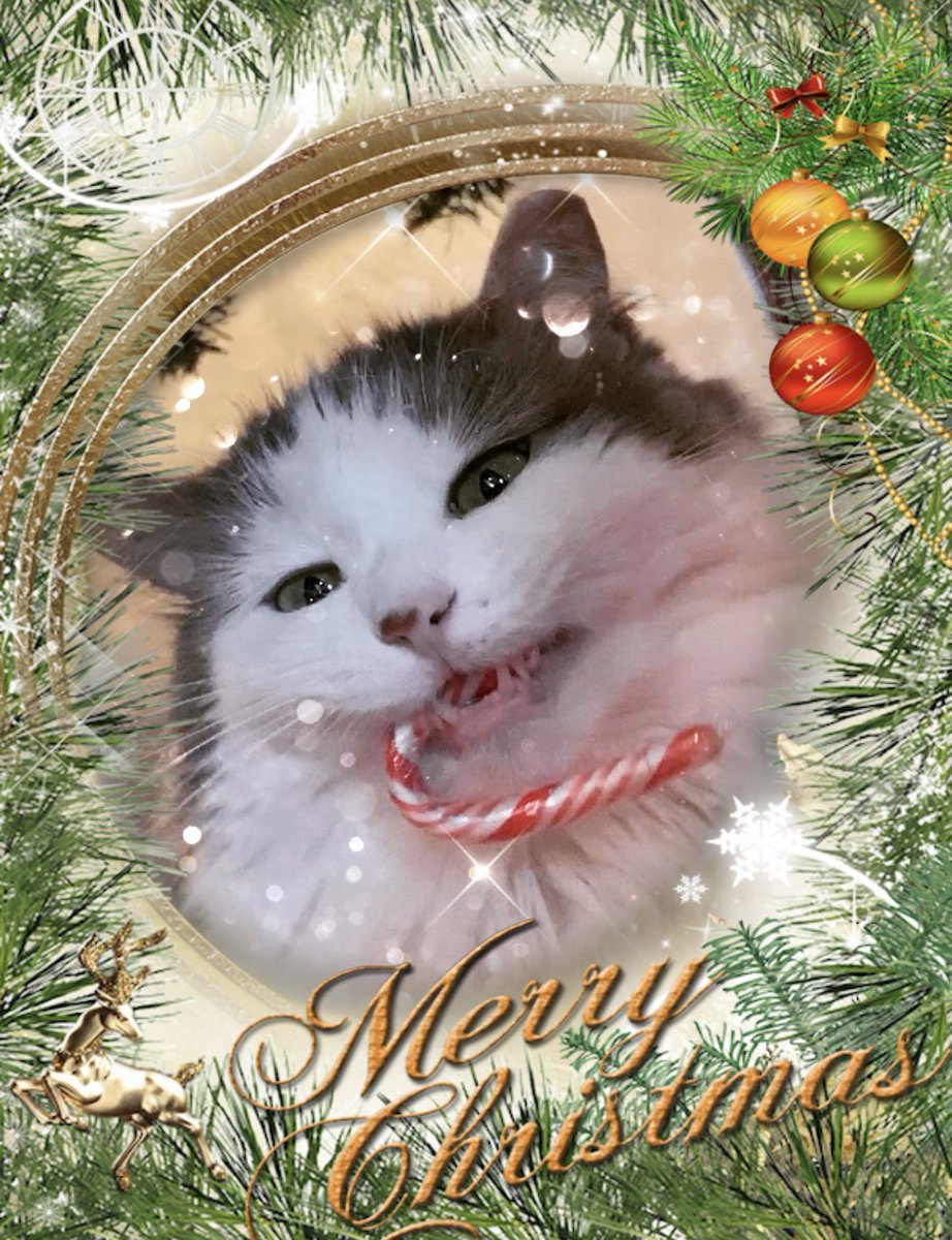 Ramen the Filthy Academic tweet media