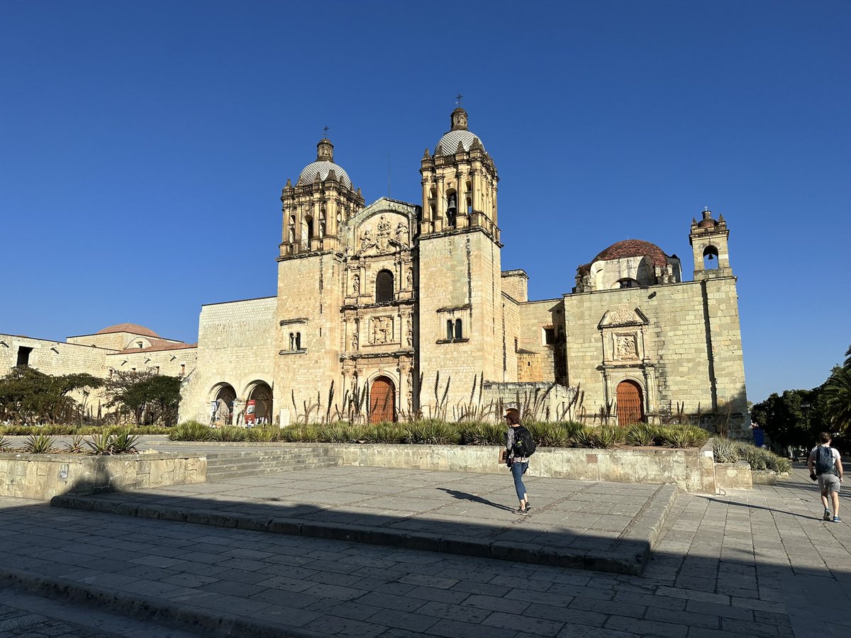 Fonz ᵍᵐ tweet media