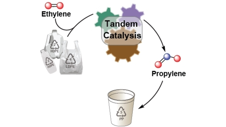 Angewandte Chemie (@angew_chem) on Twitter photo Towards a Cradle-to-Cradle Polyolefin Lifecycle by <a href="/ArnaudThevenon/">Arnaud Thevenon</a> and <a href="/InaVollmer_DE/">Ina Vollmer</a> highlights beautiful recent work on a selective tandem catalysis approach towards propylene from polyethylene onlinelibrary.wiley.com/doi/10.1002/an⦠Towards a Cradle-to-Cradle Polyolefin Lifecycle by <a href="/ArnaudThevenon/">Arnaud Thevenon</a> and <a href="/InaVollmer_DE/">Ina Vollmer</a> highlights beautiful recent work on a selective tandem catalysis approach towards propylene from polyethylene onlinelibrary.wiley.com/doi/10.1002/anā¦