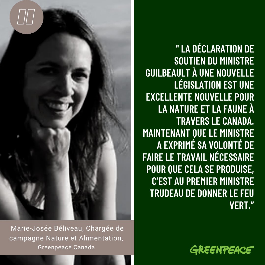 greenpeaceQC's tweet photo. DERNIÈRE HEURE: Le ministre de l’Environnement et du Changement climatique @s_guilbeault a signalé aujourd’hui son ouverture à inscrire les objectifs du Canada en matière de nature dans une loi 😎 À lire: https://t.co/kNBM5Bj39I #COP15 #ProtectNature #NatureCOP https://t.co/ZSTrfrQjJX