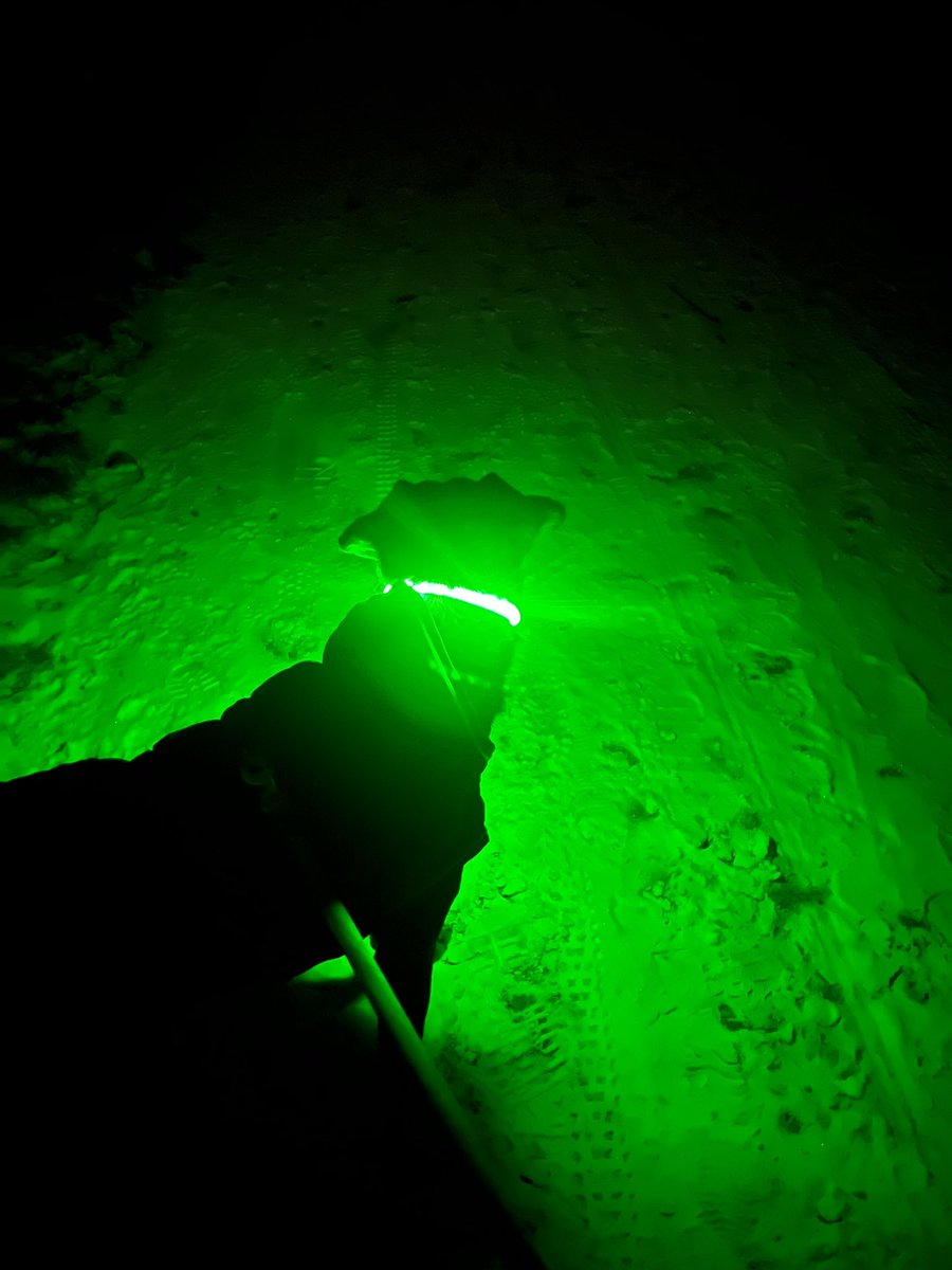 Ein Alien?
Ein Riesenglühwürmchen? 
Nein, ein Okabi und sein HALO. 😊

<a href="/SlinqEu/">slinq.eu</a>