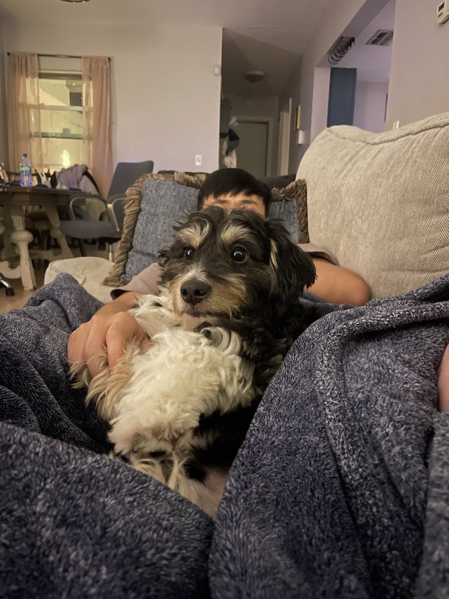 Noelle Taylor (@nbtaylor) on Twitter photo 