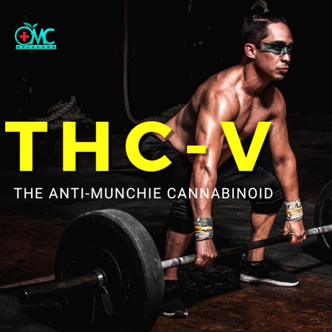 OMC_Oklahoma's tweet photo. Does THC-V Hold the Key to Weight Loss? When you think of consuming cannabis, losing weight is probably the last association you have.

#onlinemedicalcard #holidays #holidayseason #happyholidays #cannabiseducation #cannabisculture #CannabisCommunity https://t.co/KffWC6qBf7