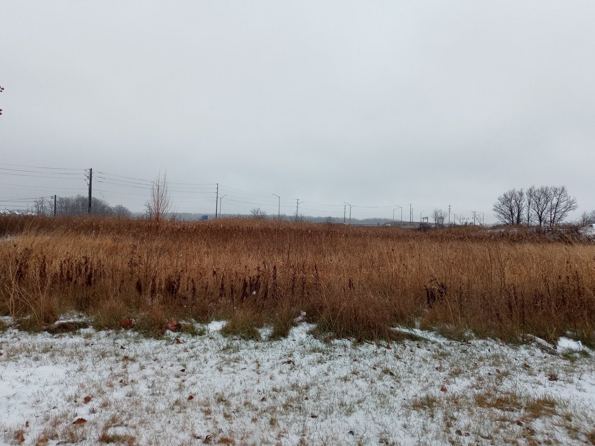 Weather Advisory in effect for Thur Dec 15. Campuses open. Next update 3:00.