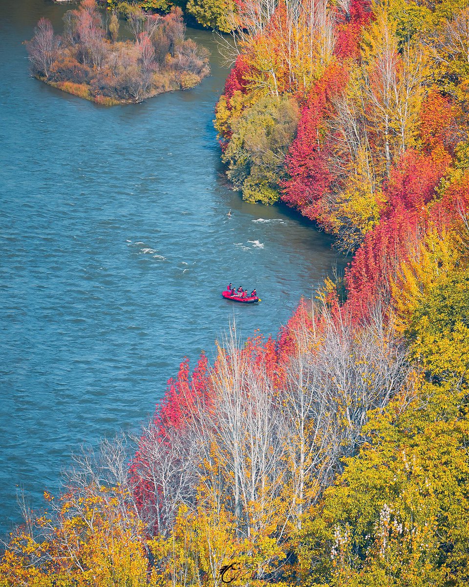 IranianPlateau's tweet photo. در واپسین روزهای پاییز هزاررنگ و حزن‌آلود ۱۴۰۱، آرزوی بِه‌روزی برای ساکنین این کُهن‌فلات را داریم. به امید تابش دوباره‌ی نور بر تاریکی.

حاشیه‌ی رودخانه زاینده‌رود، استان زیبای چهارمحال و بختیاری‌.

عکس از @NaserDerakhshan https://t.co/VbYVPdAzZu