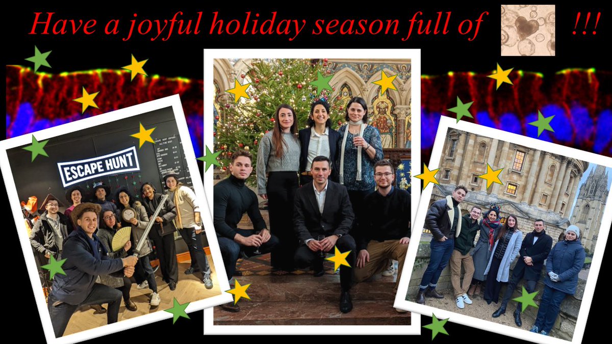 Great wishes from the Boc lab!!! <a href="/antopsiche/">Antonella D'Amore</a>
 @iansmcf Anisa Ashraf <a href="/ClaudiaZagami/">Claudia Zagami</a> Ian Traulsen, Dia Papp, <a href="/camillapersi/">Camilla Persi</a> George Maier