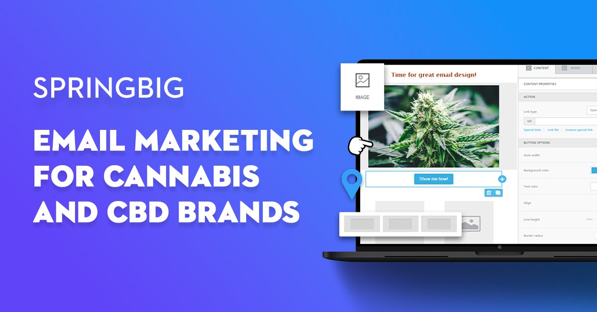 SpringBIG's tweet photo. Looking for smarter, more effective email marketing for your dispensary?

Check out our blog post 👉 https://t.co/UZwlvxN82l 👈 for some #cannabis industry-specific tips and tricks to take your #emailmarketing to the next level! ✉️ 📈

#cannabismarketing #cbd #blogpost #springbig https://t.co/ppoHPIOyNc