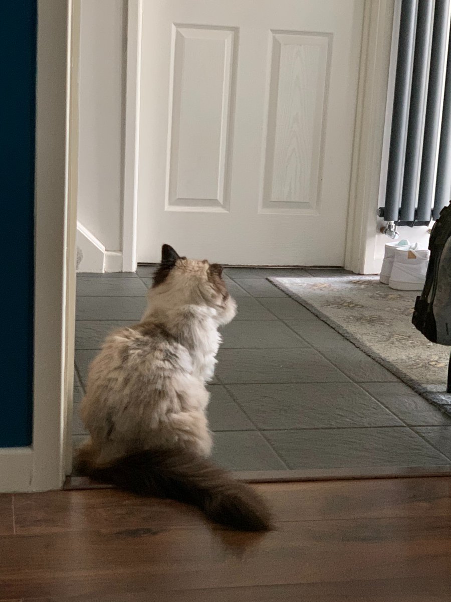 Matt Woodfine tweet media