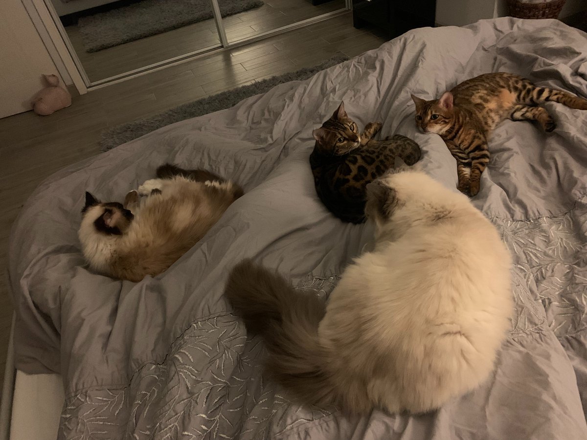 Matt Woodfine tweet media