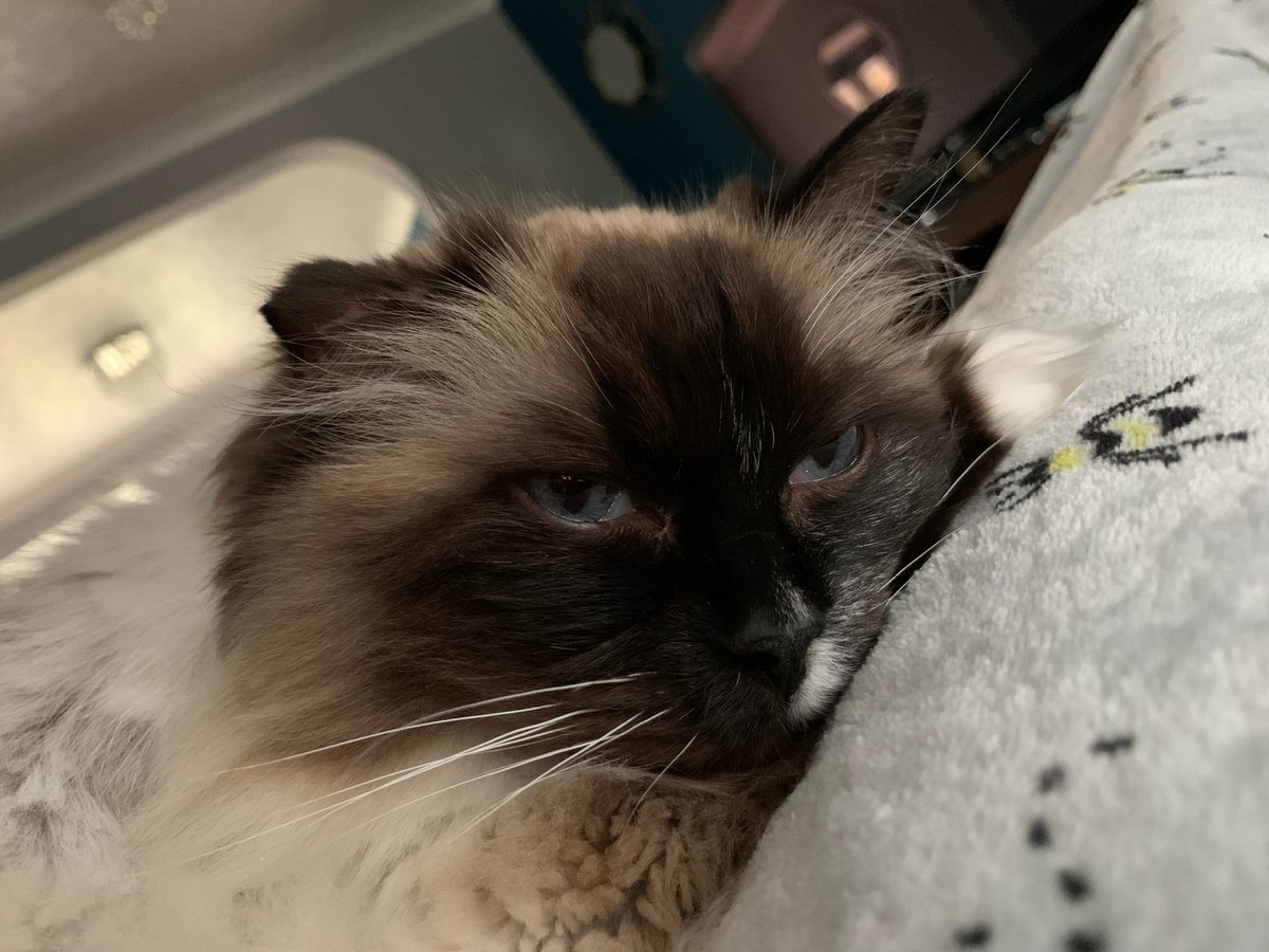 Matt Woodfine tweet media