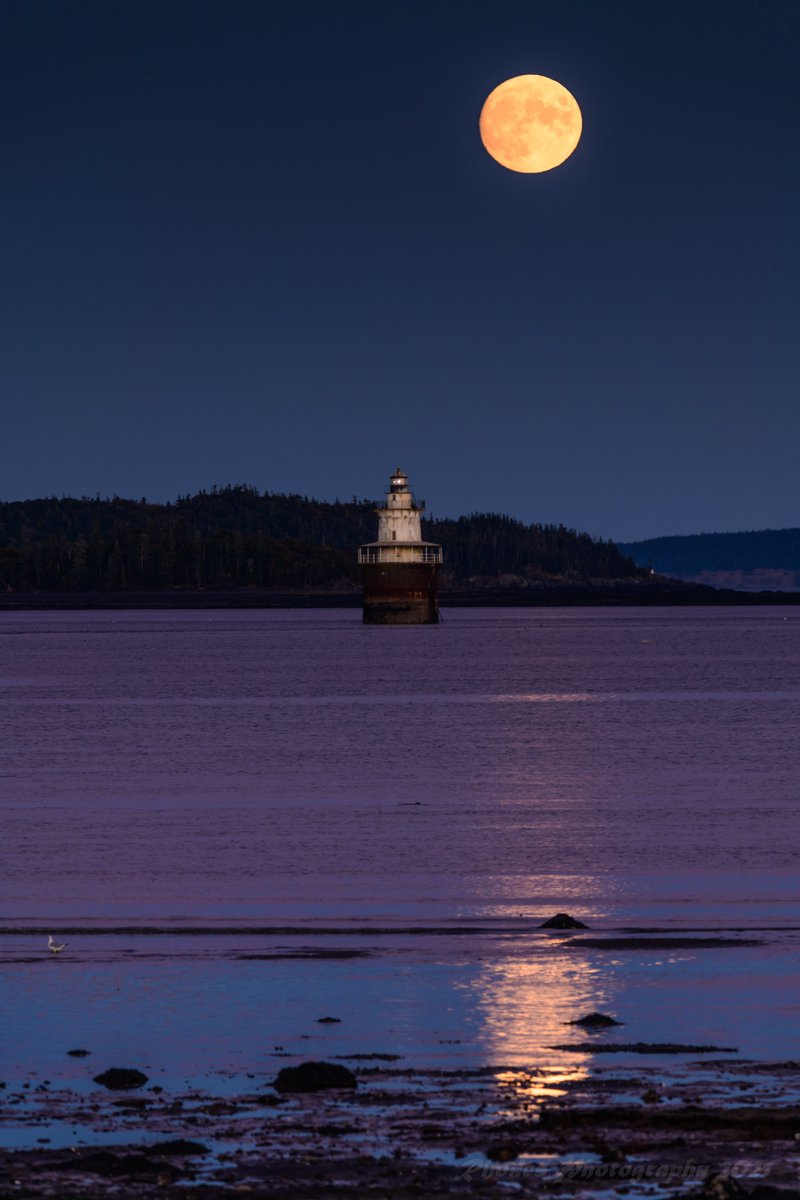 JRhodes1776's tweet photo. @DailyPicTheme2 Take your pick. #Maine, #LubecChannelLighthouse, #moon, #radiant https://t.co/vJ0qHvzq2k