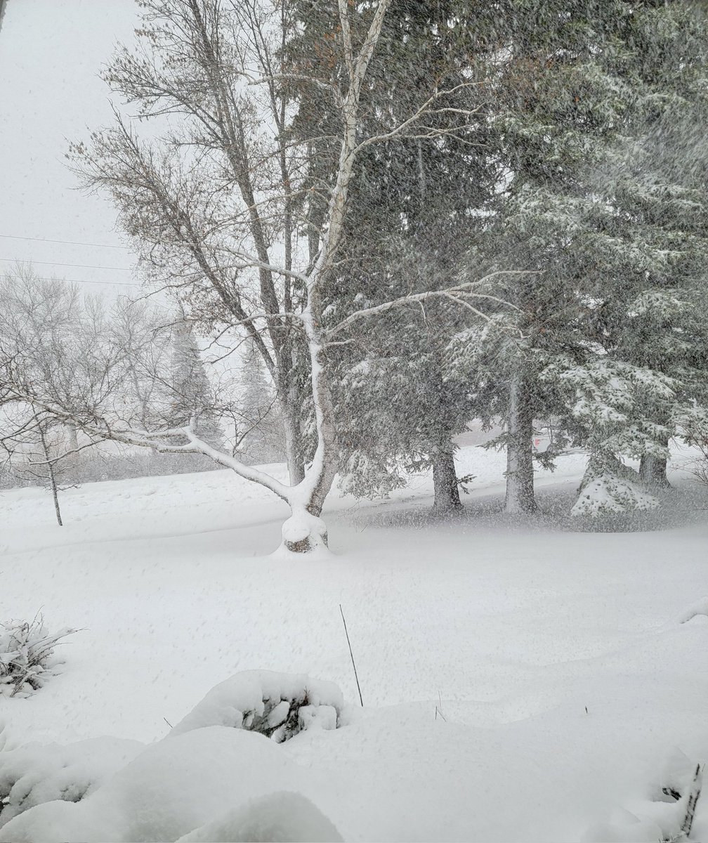 K_Em79's tweet photo. 🎶 Walking in a winter (storm) wonderland 🎶 #nodak https://t.co/syj1c1Nojr