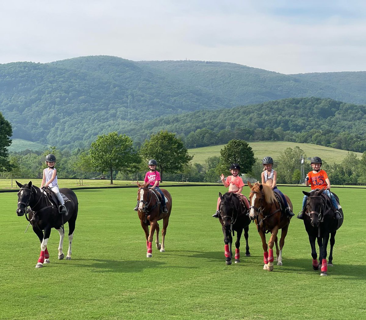 roselandpolo tweet media