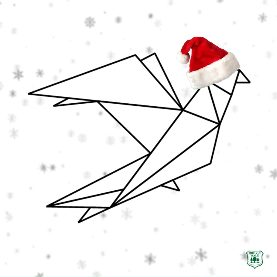 Weihnachtsgrüße des Heimatschutzvereins hsv.to/weihn22