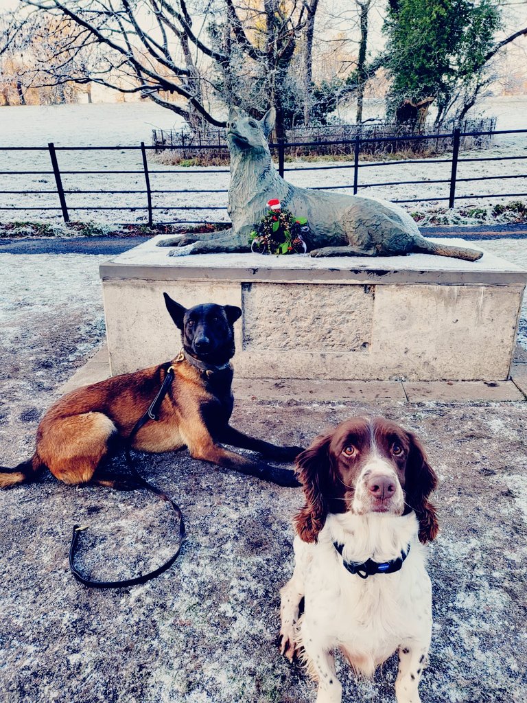 K9Scottish's tweet image. #PDUshi and #PDMac visited the memorial today to lay a Christmas wreath that their mum made. Thank you Kelly, it's beautiful 😍 
#ChristmasIsComing #ChristmasWreath 🎄🎅
#PoliceDogsOfTwitter