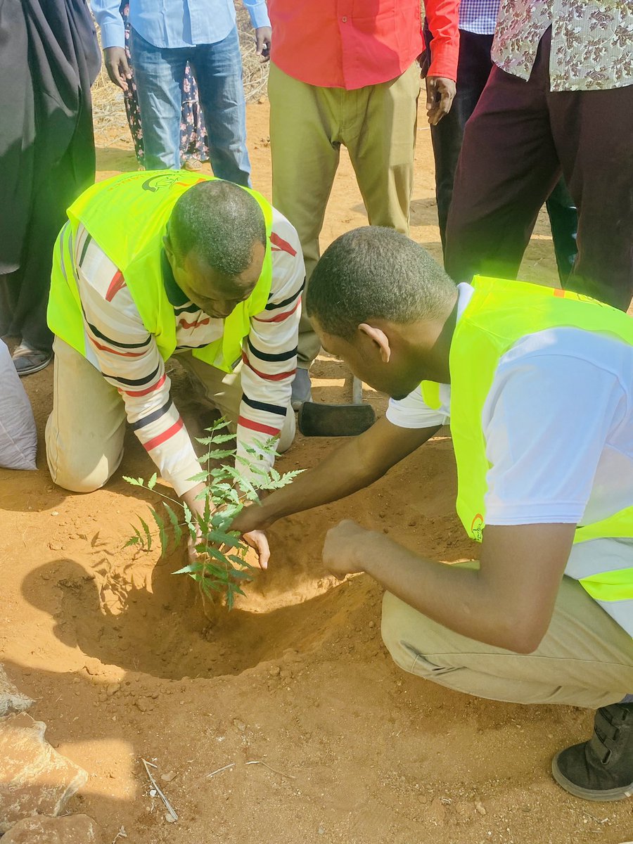 Husika_Alliance's tweet photo. To combat climate change and global warming, we must link all the environmental policy frameworks into practice.
#ClimateActionCampaign
#tree https://t.co/wOOXtgtPm2