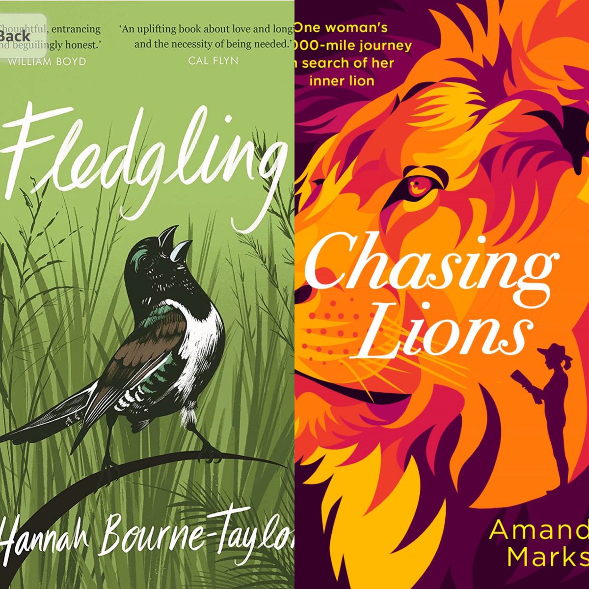 ClareJanetMason's tweet photo. Day 15 of @Squadpod3 #AdventCalendar a lesser known book or in my case books. My choices are both inspiring, insightful & individual reads, by two remarkable writers😄📚
#Fledgling by the magnificent @WriterHannahBT
#ChasingLions by the adventurous #AmandaMarks
Must Reads 🎄 https://t.co/lSZnUz3tvW