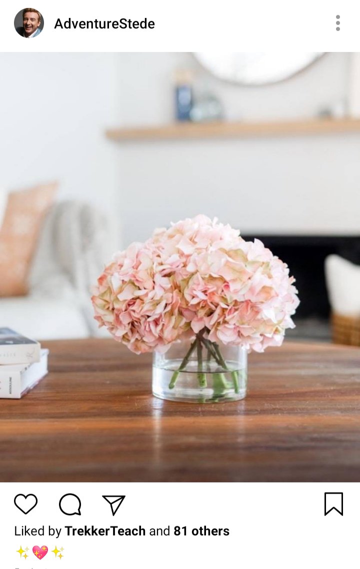 Stede's IG: Picture of pink hydrangeas in a vase. Caption reads "✨💖✨" 