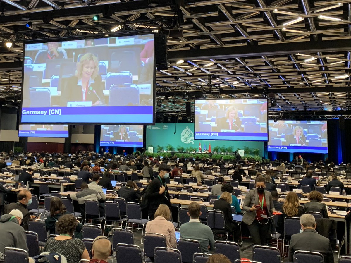 Timo Landenberger tweet media