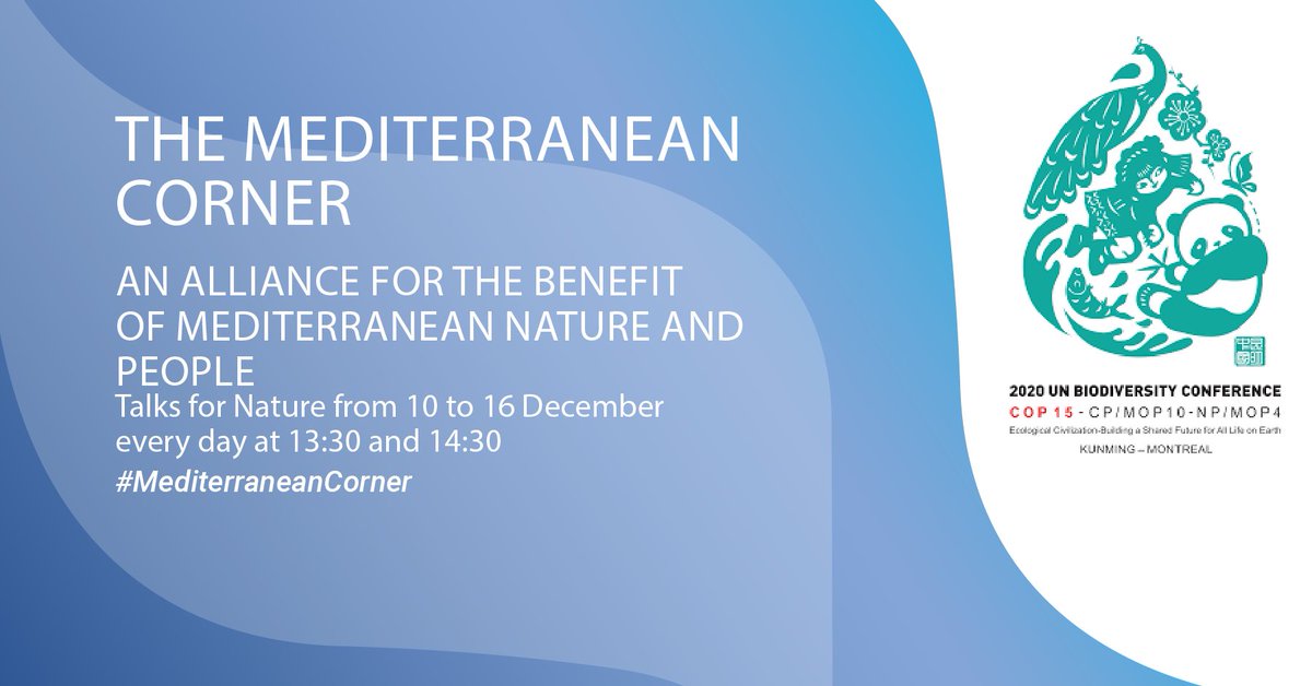 'The Post-2020 SAPBIO: the Mediterranean marine GBF in the framework of the Barcelona Convention'  
Speakers: 
Mr Gabino GONZALEZ DEOGRACIA (UNEP/MAP Deputy Coordinator) and Mr Khalil ATTIA (SPA/RAC Director). 
Moderator:Ms Lorenza BABBINI (INFO/RAC Director)
🔜14:30 EST (UTC-5)